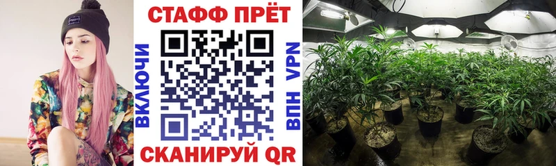 Купить ГАШ  Бошки Шишки  АМФЕТАМИН  Мефедрон  COCAIN  Альфа ПВП  Новозыбков
